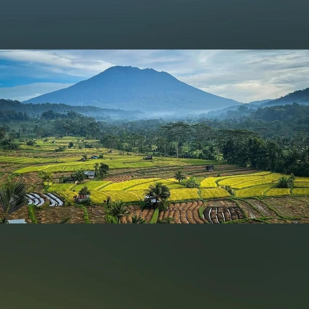 Lumbung Ayu Sari And Spa Sidemen  Exteriér fotografie