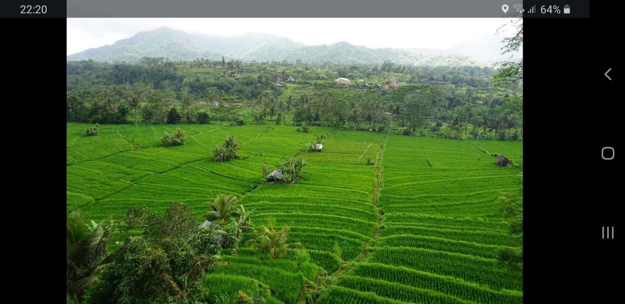 Lumbung Ayu Sari And Spa Sidemen  Exteriér fotografie