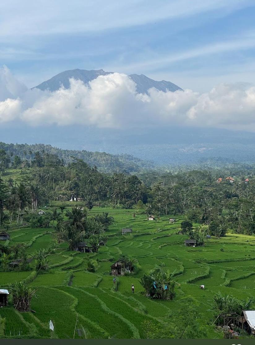 Lumbung Ayu Sari And Spa Sidemen  Exteriér fotografie