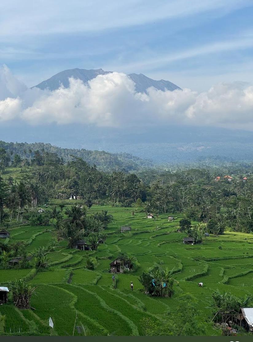 Lumbung Ayu Sari And Spa Sidemen  Exteriér fotografie